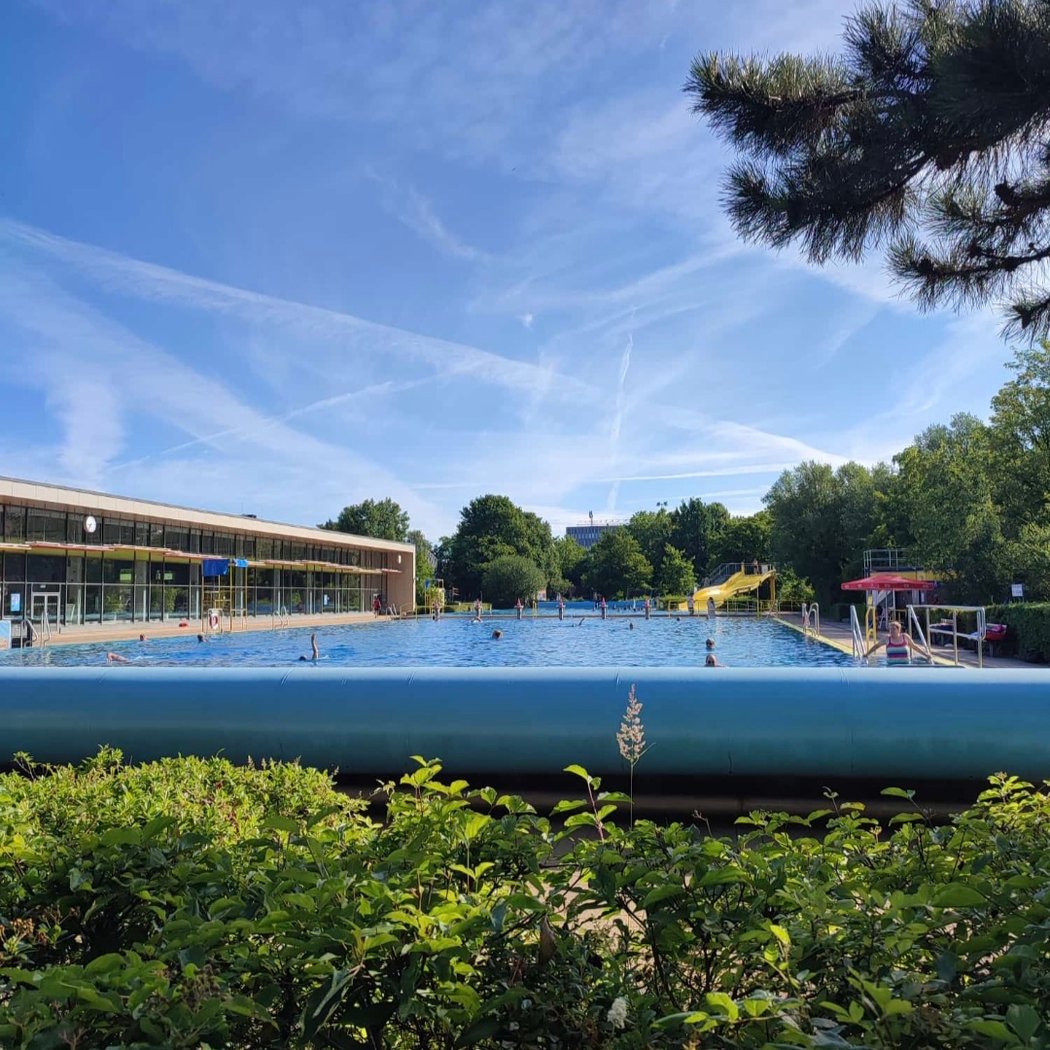 Hundeschwimmen 3