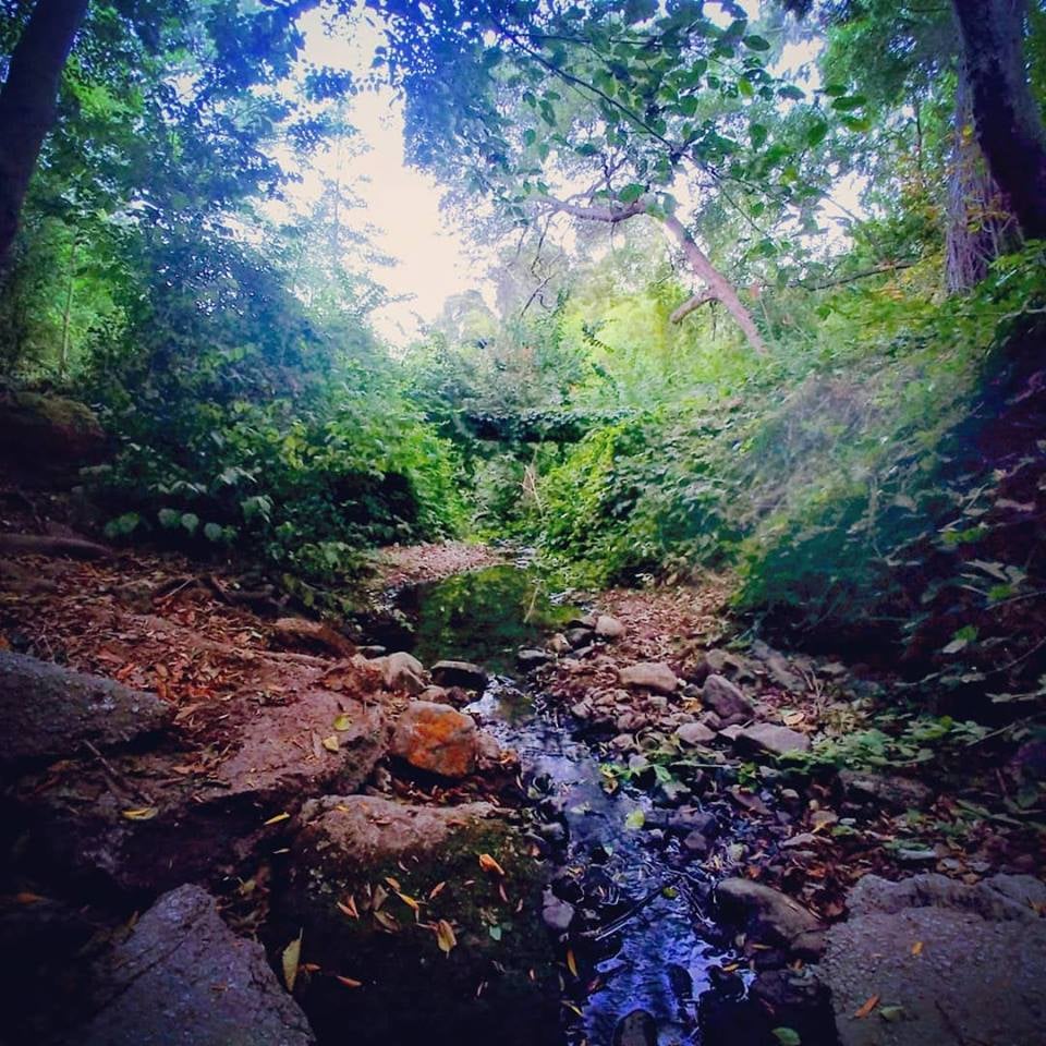 El Centro Trailhead (Dimond Canyon) 1