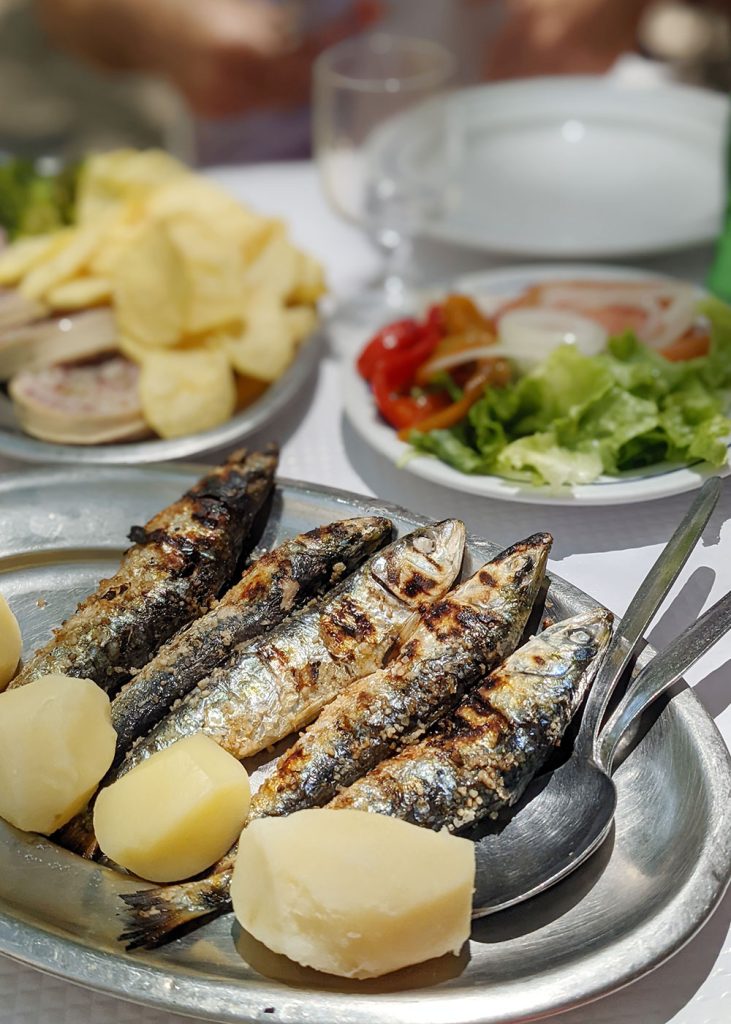 Sardinha 1