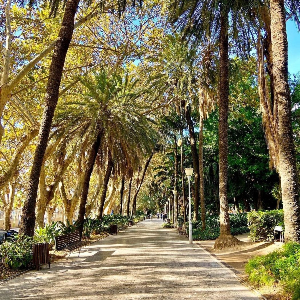 Generali Maratón Málaga 2025 2