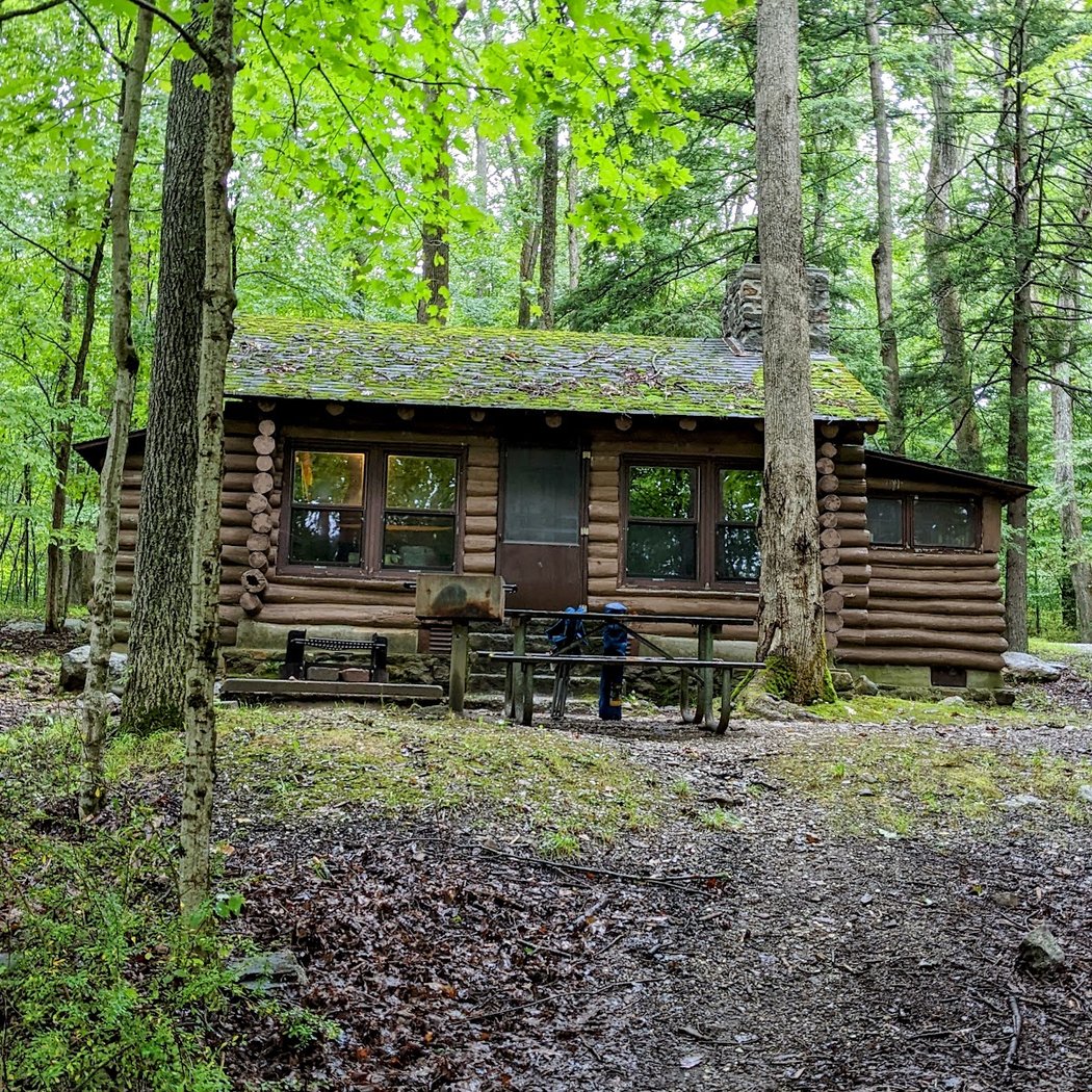 Stokes State Forest 2