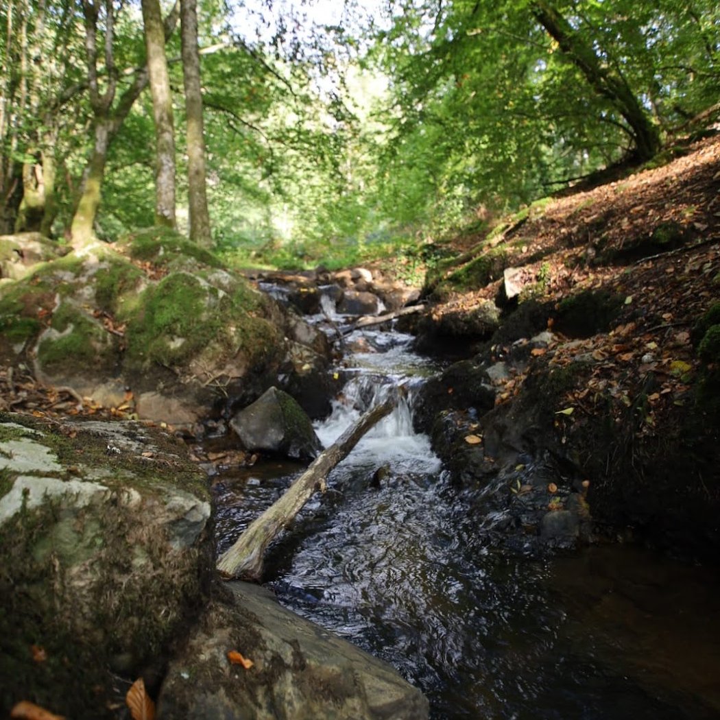 Morvan 3