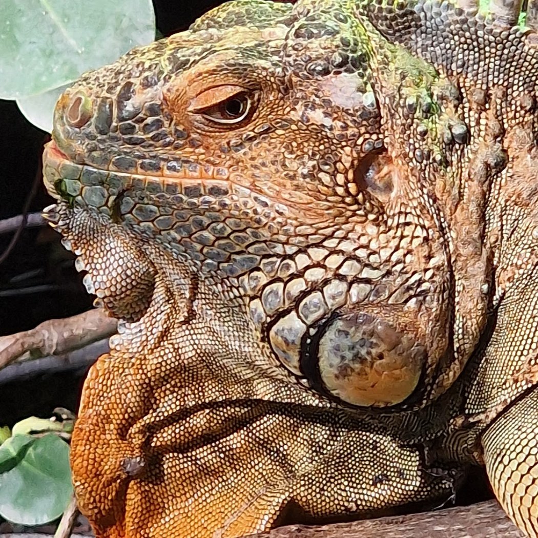 APPRENTI SOIGNEUR : VIVARIUM 2