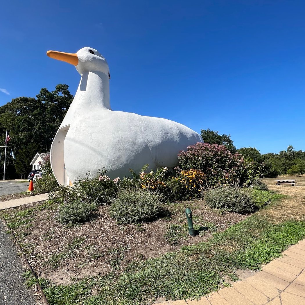 The Big Duck 3