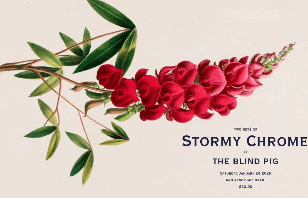 Stormy Chromer 1