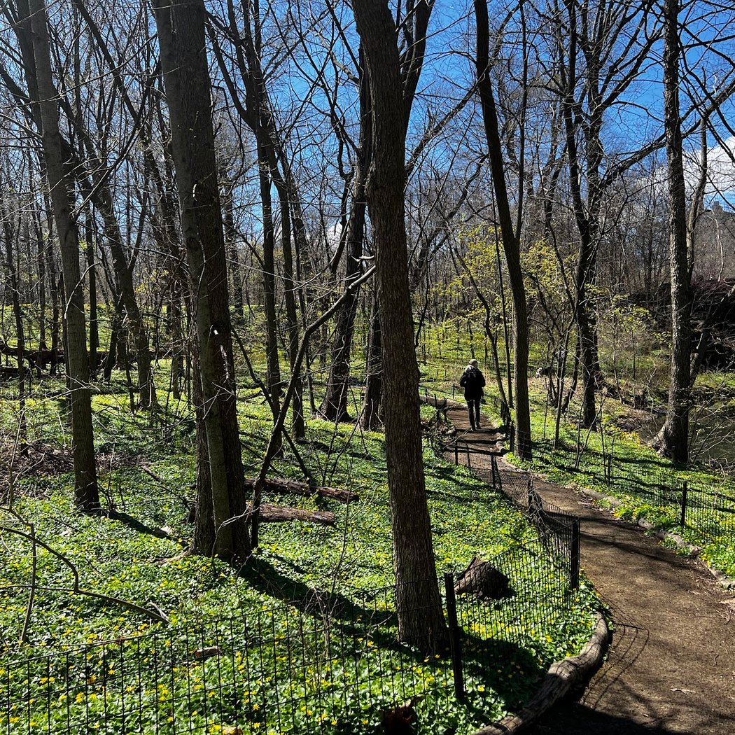 The Ravine 2