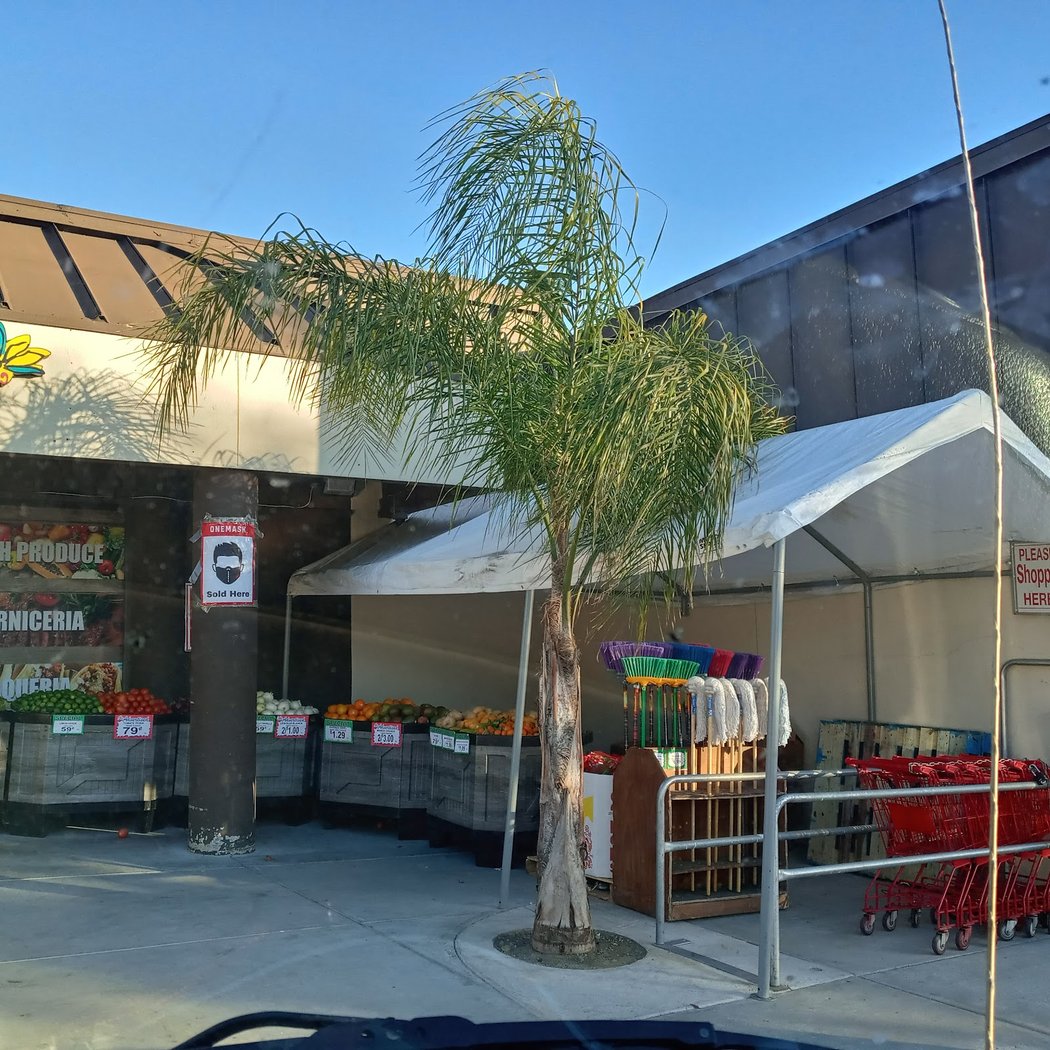 Arteaga's Food Center 2