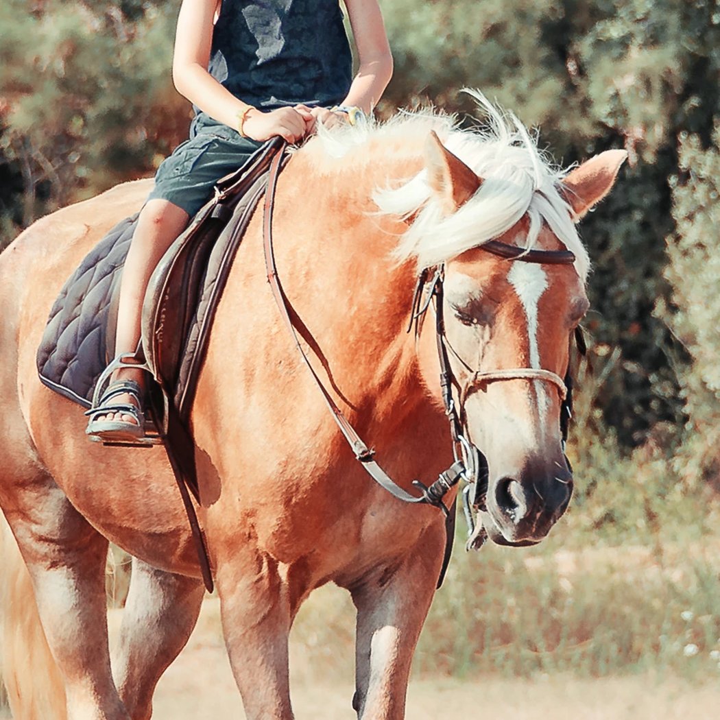 Riverdale Stables 2
