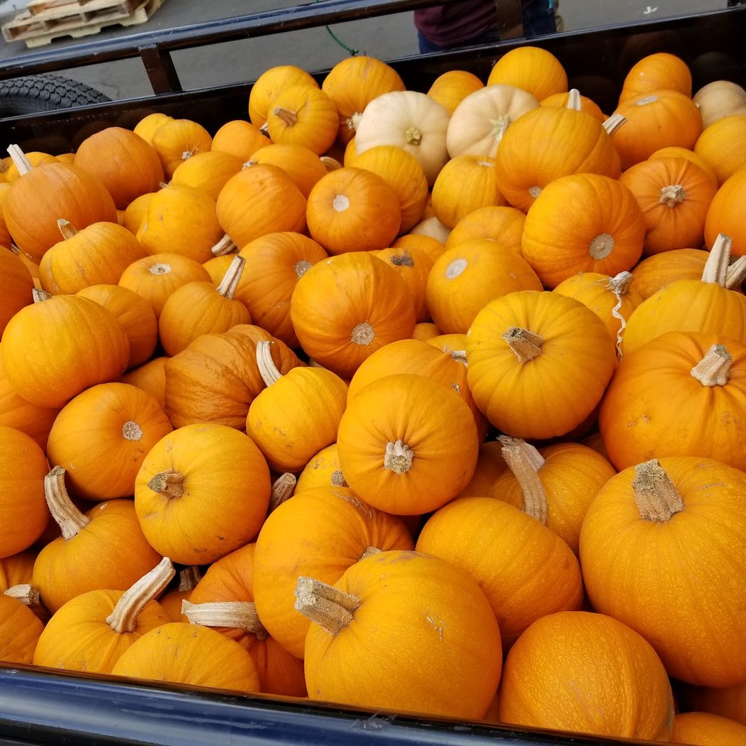 Pacific Coast Farmers' Market Association 3