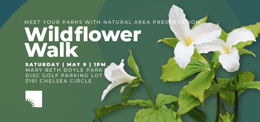 Meet Your Parks with Natural Area Preservation: Wildflower Walk 1
