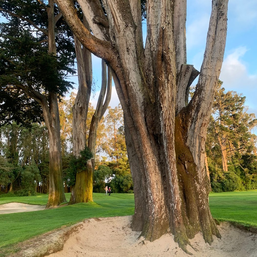 San Francisco Golf Club 2