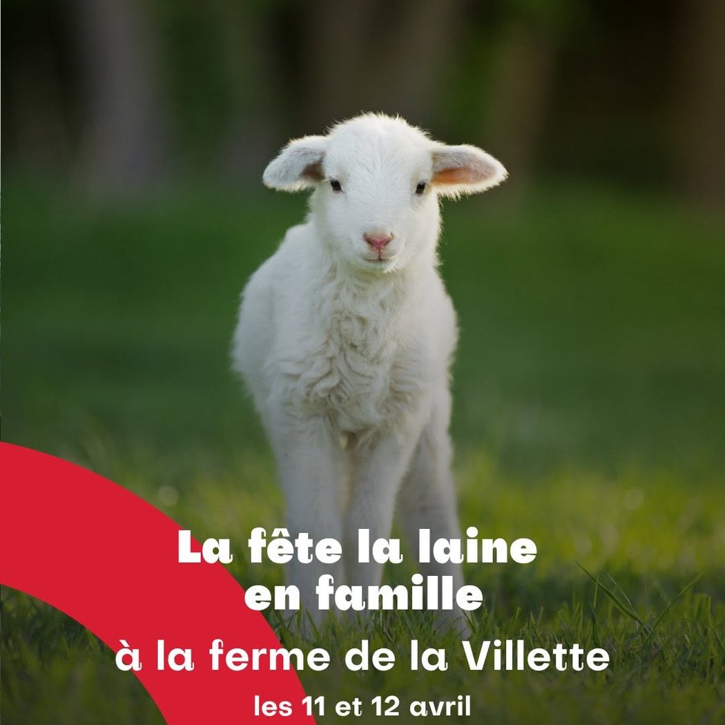 Fête de la Laine 1