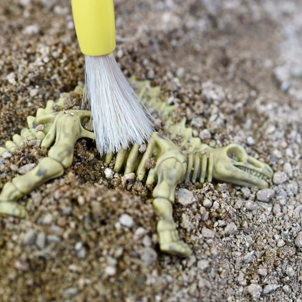 Super Science Saturday: Fantastic Fossils 2
