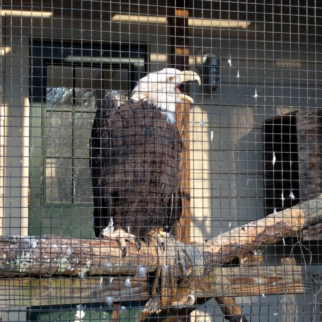New Canaan Nature Center 2