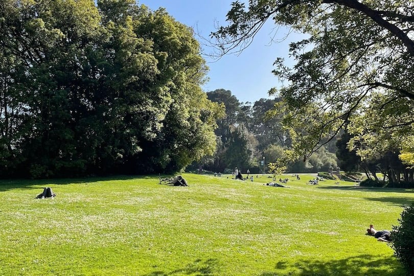 Hippie Hill 2