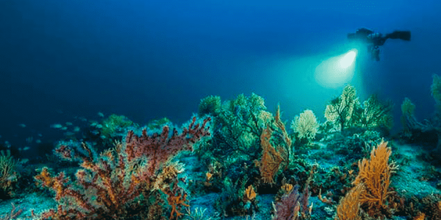 Planète Méditerranée 1
