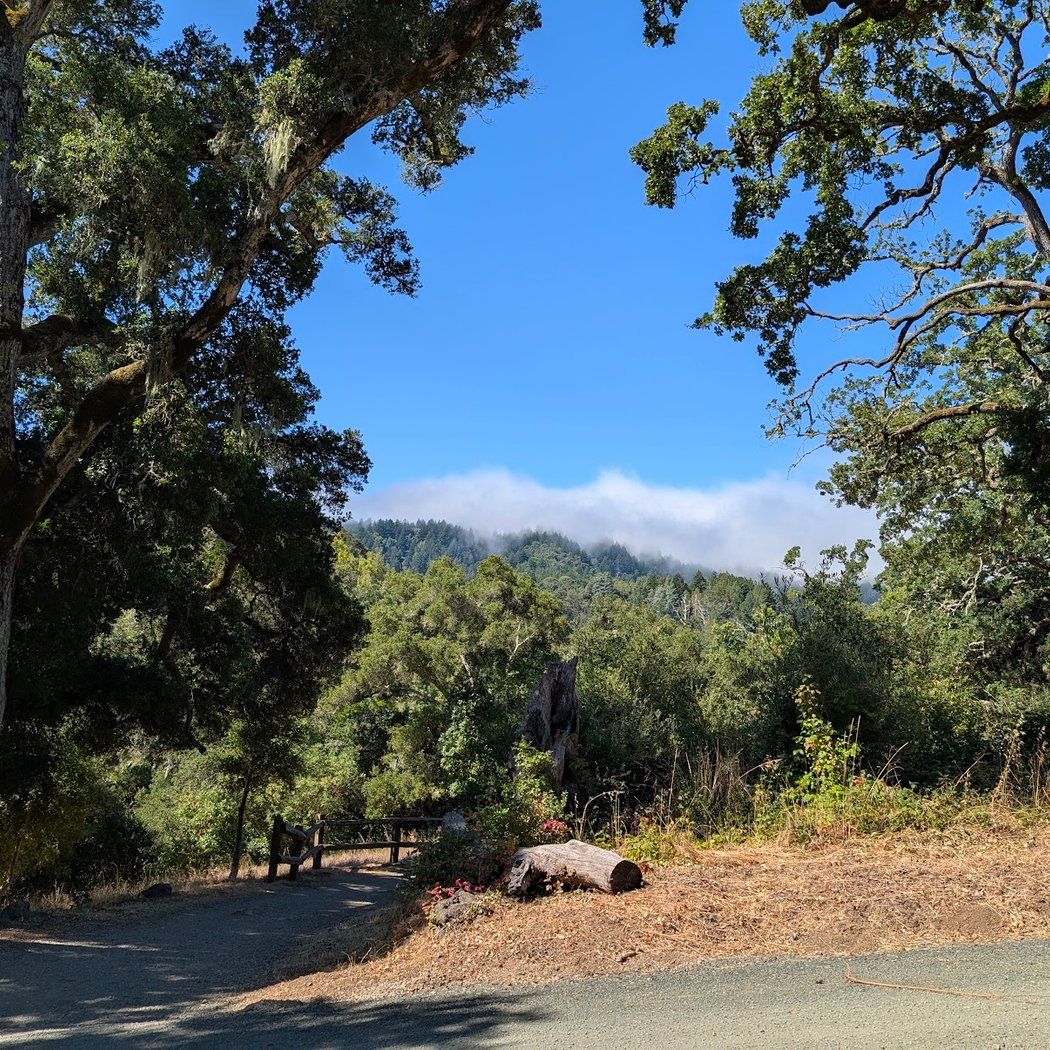 Windy Hill Preserve Public Parking 3