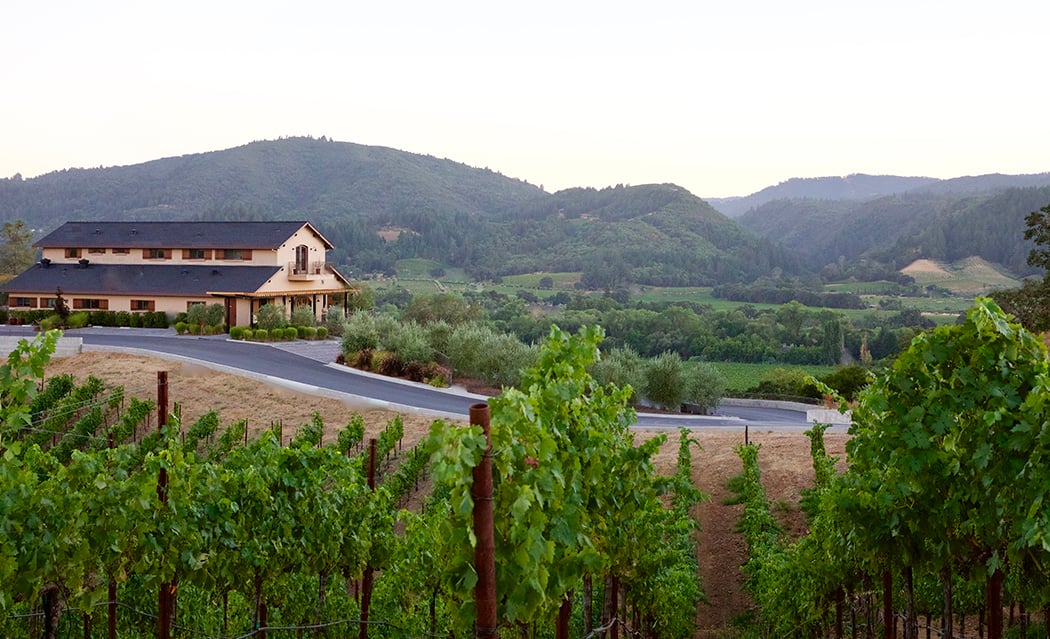 2025 Estate Bolle de Trattore Sparkling Wine Tasting 2