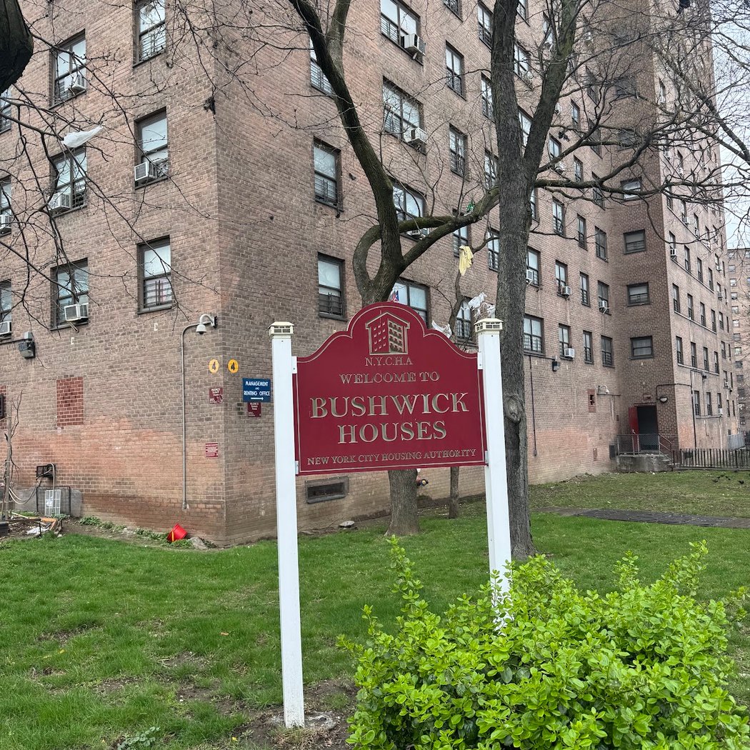 NYCHA In Nature: Intro to Birding 2