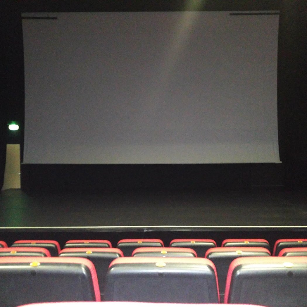 LES FÉLINS 2