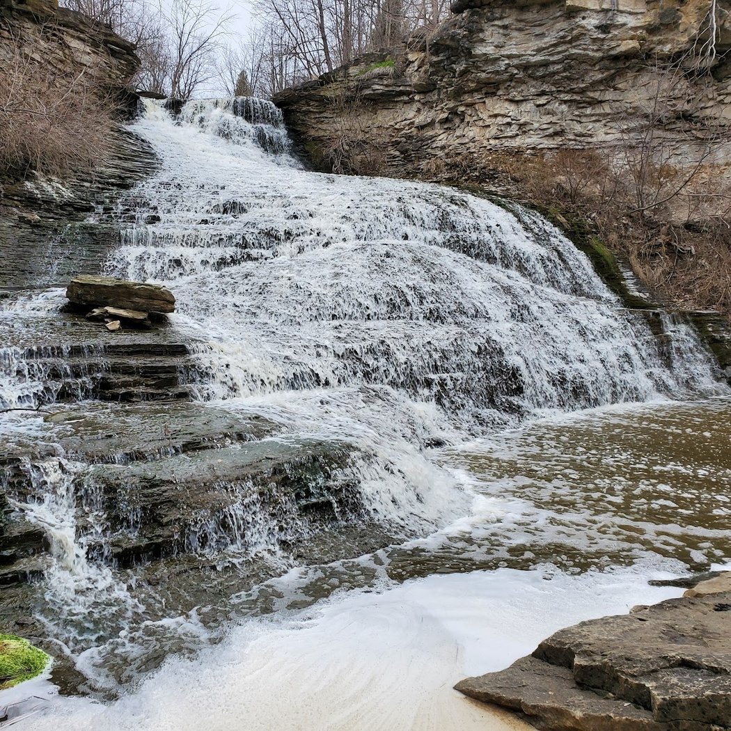 Beamer Memorial Conservation Area 3