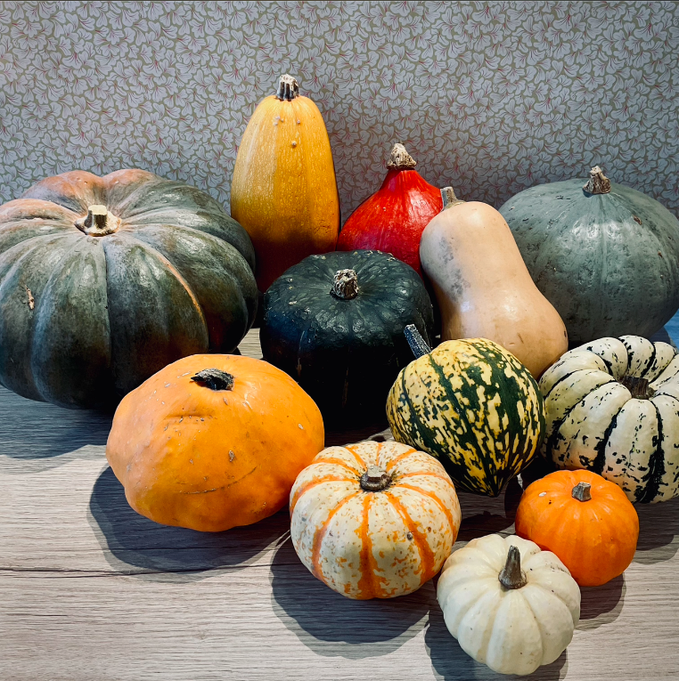 Saveurs et potager 1