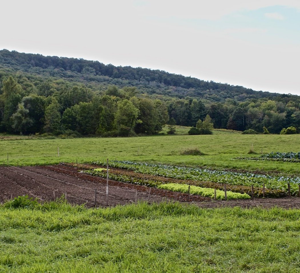 Woven Roots Farm & Community Center 3