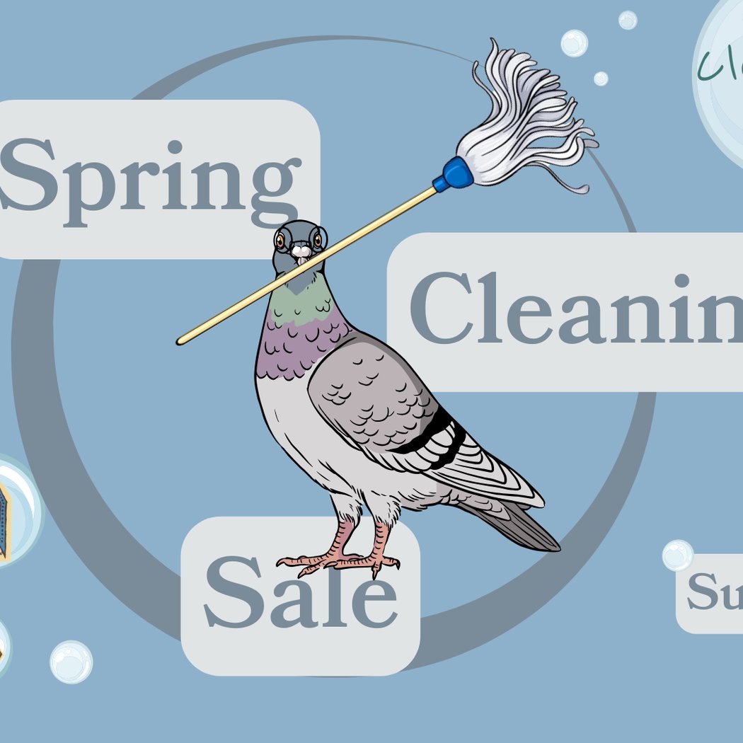 Spring Cleaning Sale 1