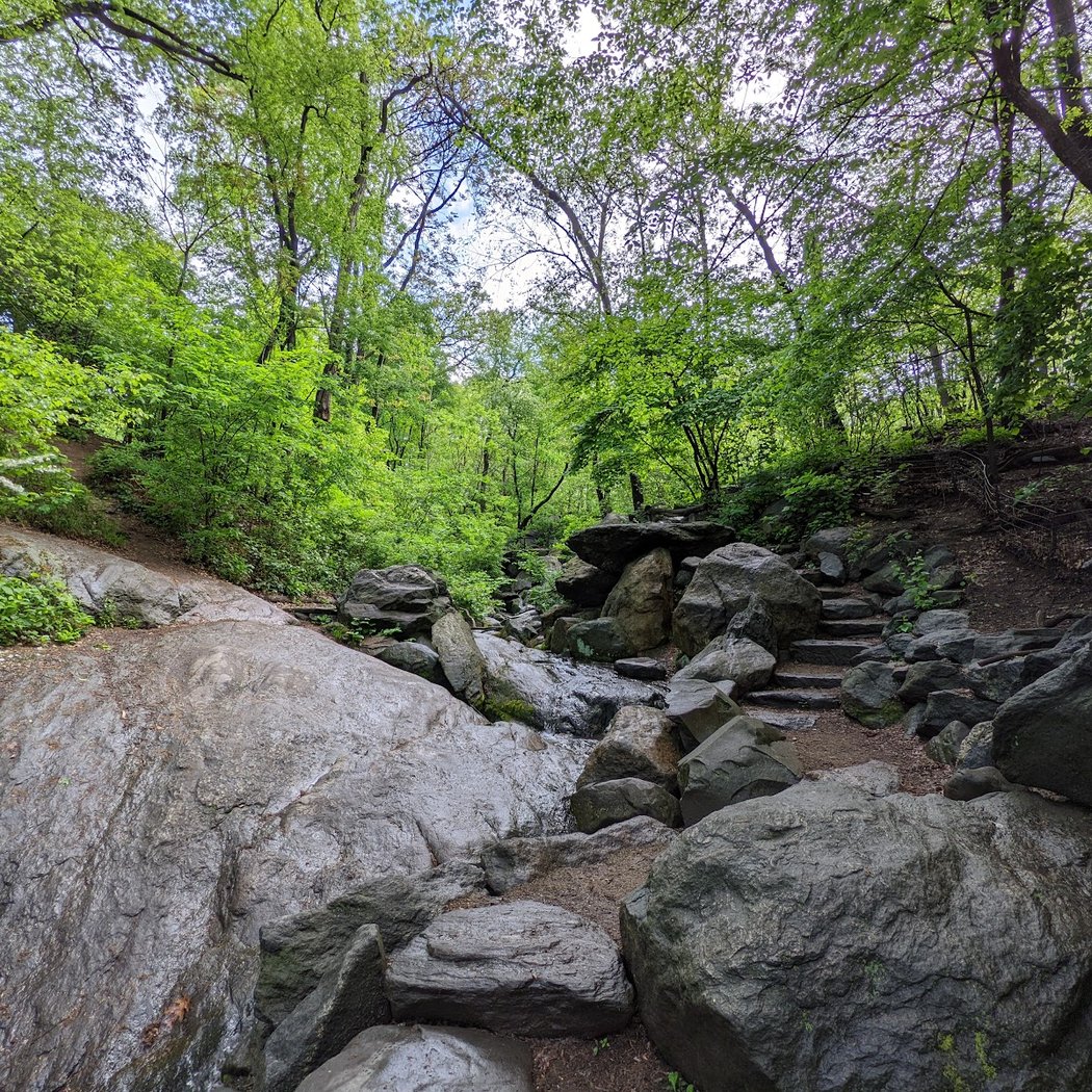 Ramble Rustic Bridges 2