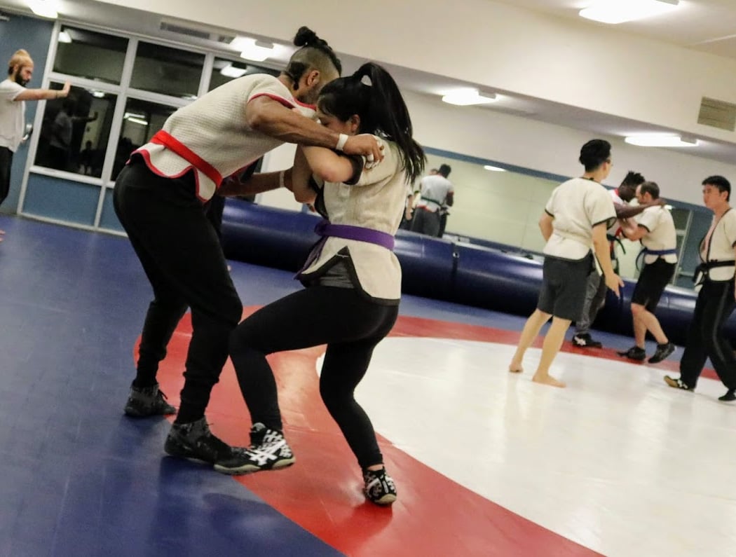 Cupertino Kung-fu club 1