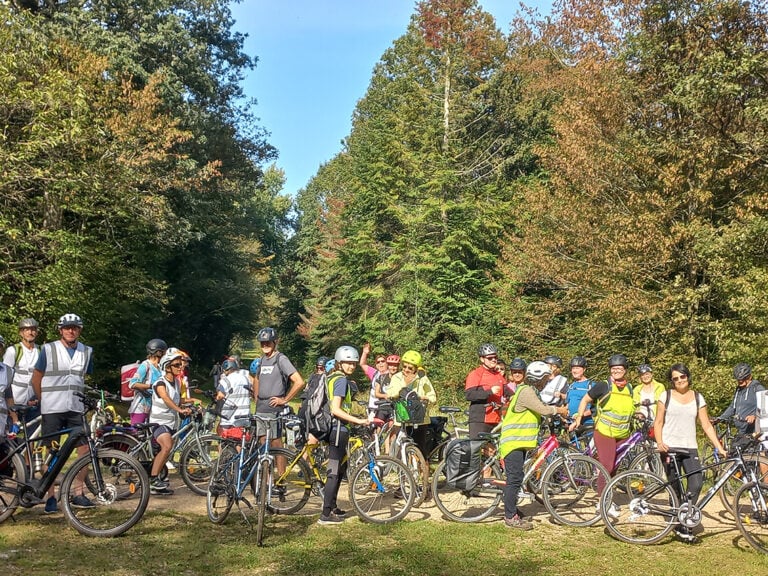 Les Vélos du Viaduc 1