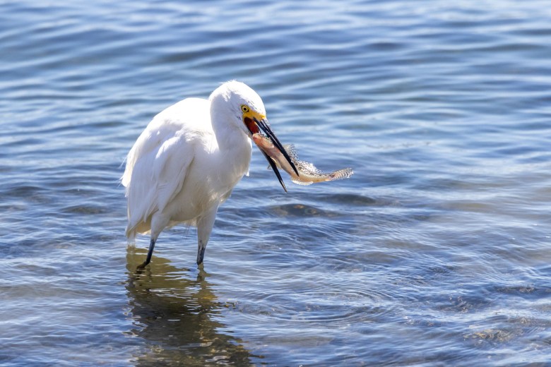 Shoreline Park 2