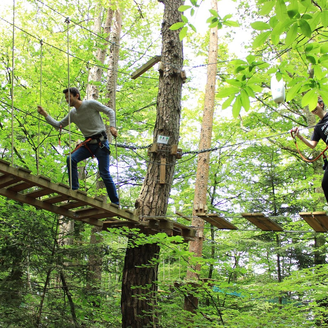 Parc aventure La tyrolienne 1