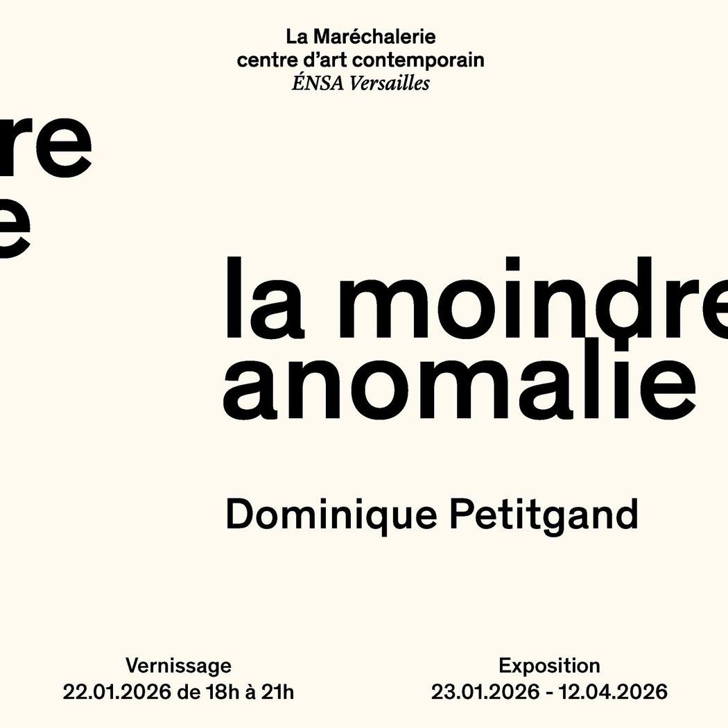 Vernissage - exposition La moindre anomalie de Dominique Petitgand 1