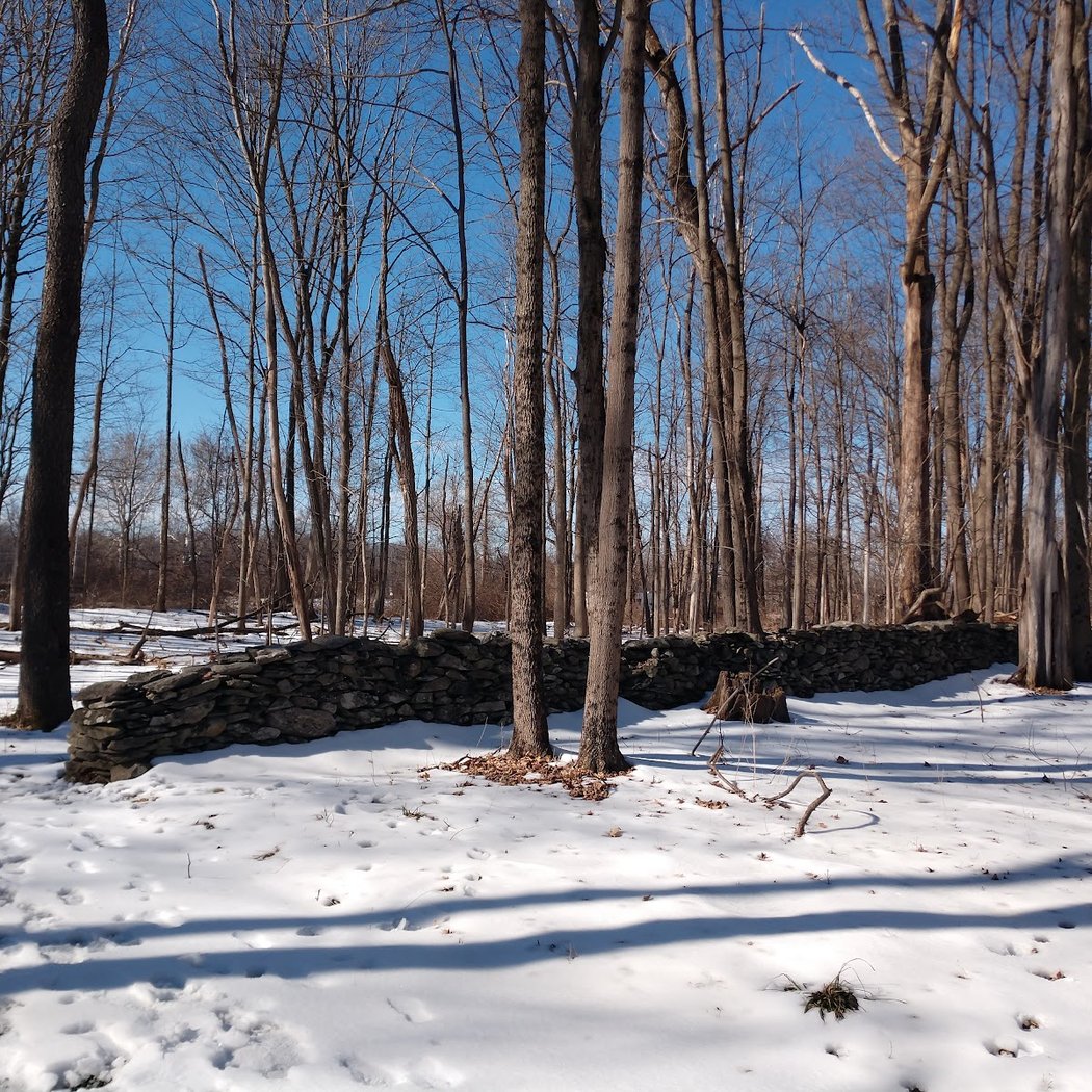 Roosevelt Farm Lane Trail 2