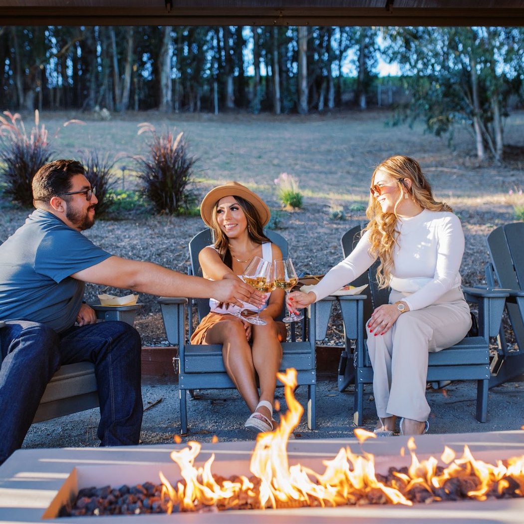 Sebastopol Wineries Collective Tasting 2