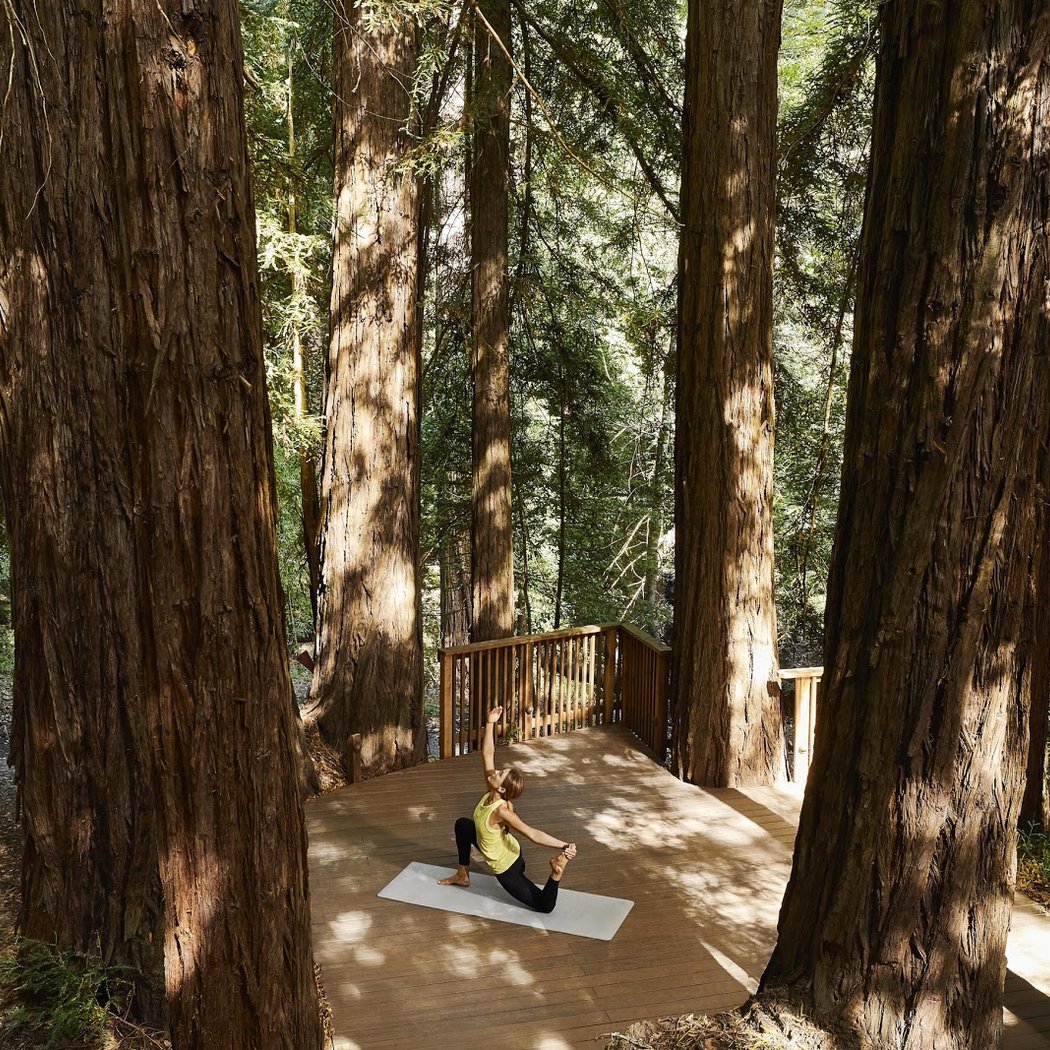 Canyon Ranch Woodside 1