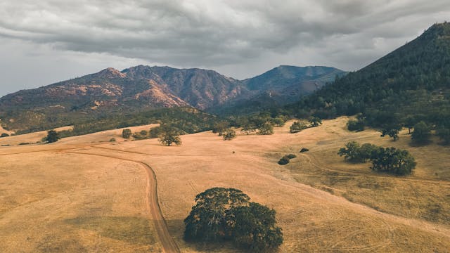 Diablo Foothills Regional Park 1