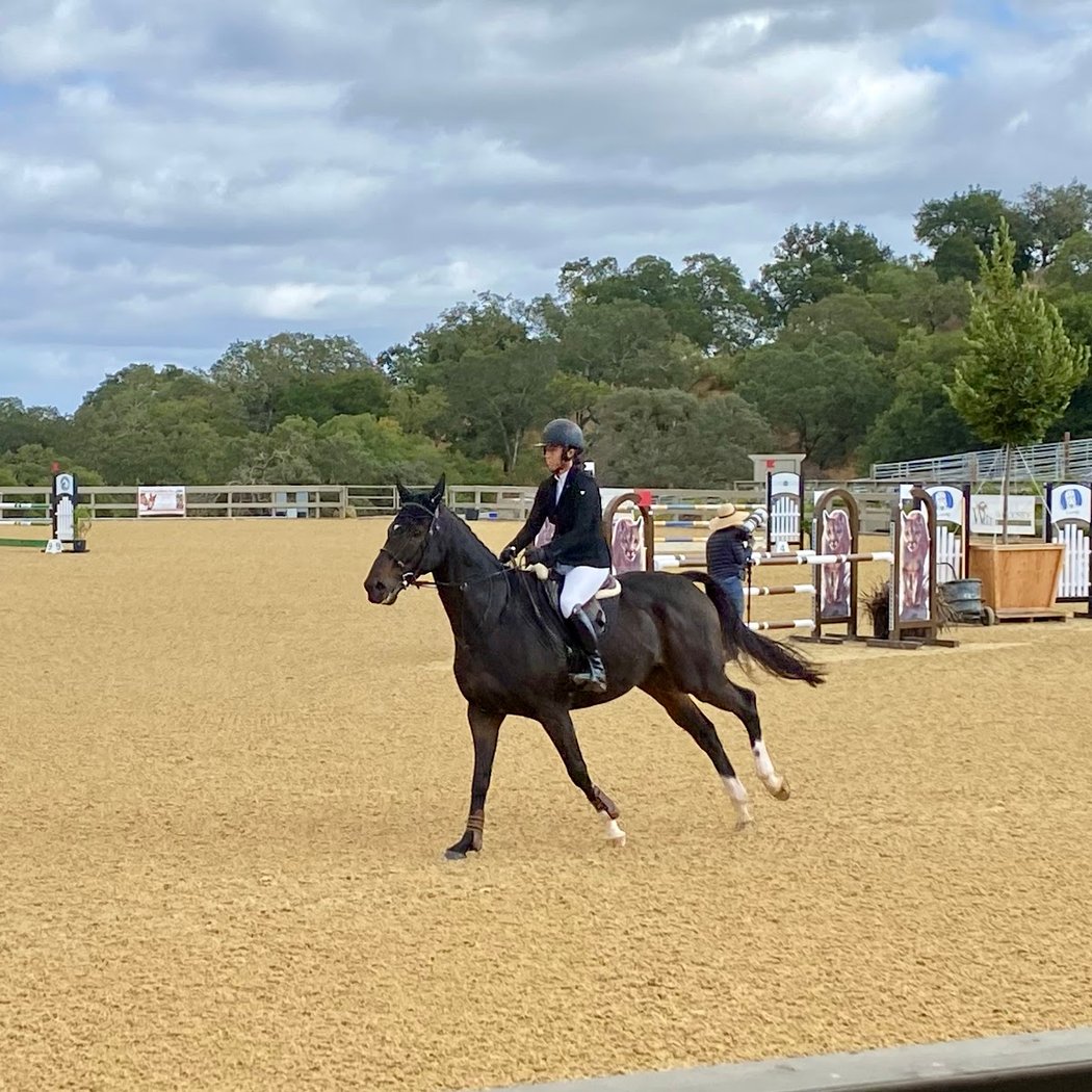 Horse Park at Woodside 2