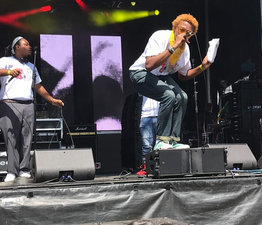Afropunk Festival 1