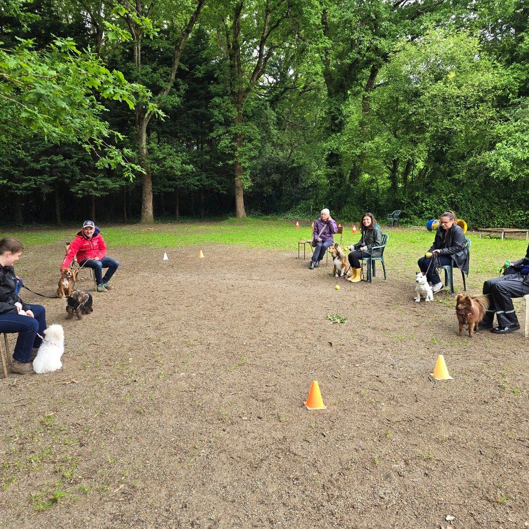 Sport Canin Saint Nazaire 3