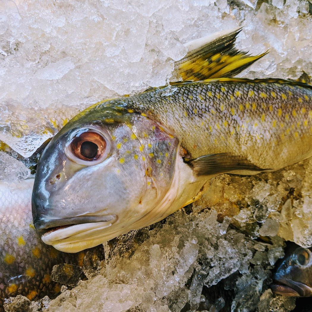 Fresh Fish Market 1