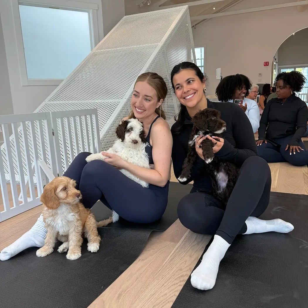 Puppy Sphere | Puppy Yoga (San Francisco) 3