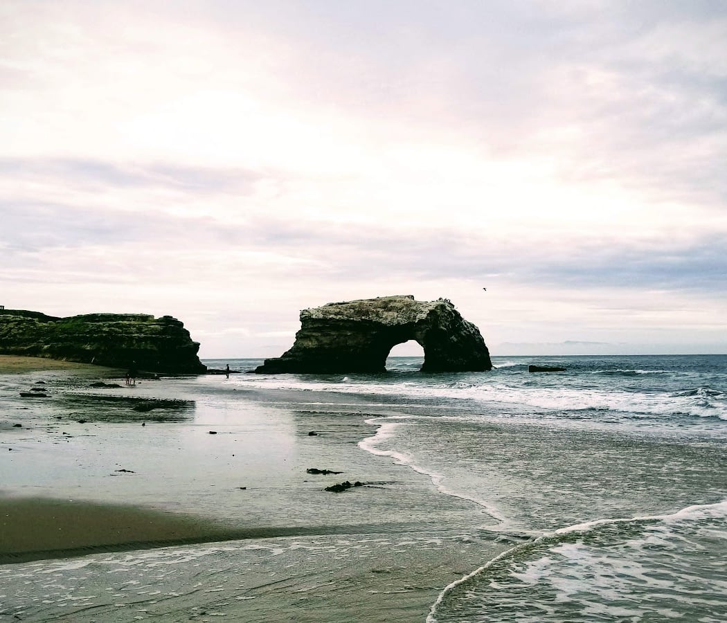 Mitchell's Cove Beach 1