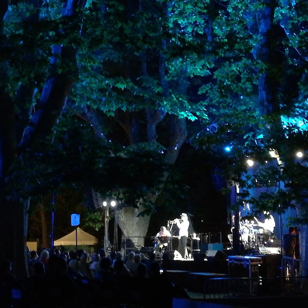 Charlie Jazz Festival 3