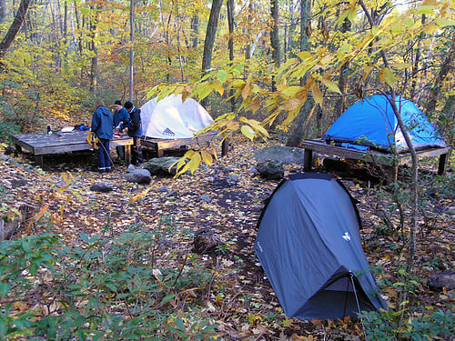 A.T. Overnight Site Maintenance: Laurel Ridge Campsite 1