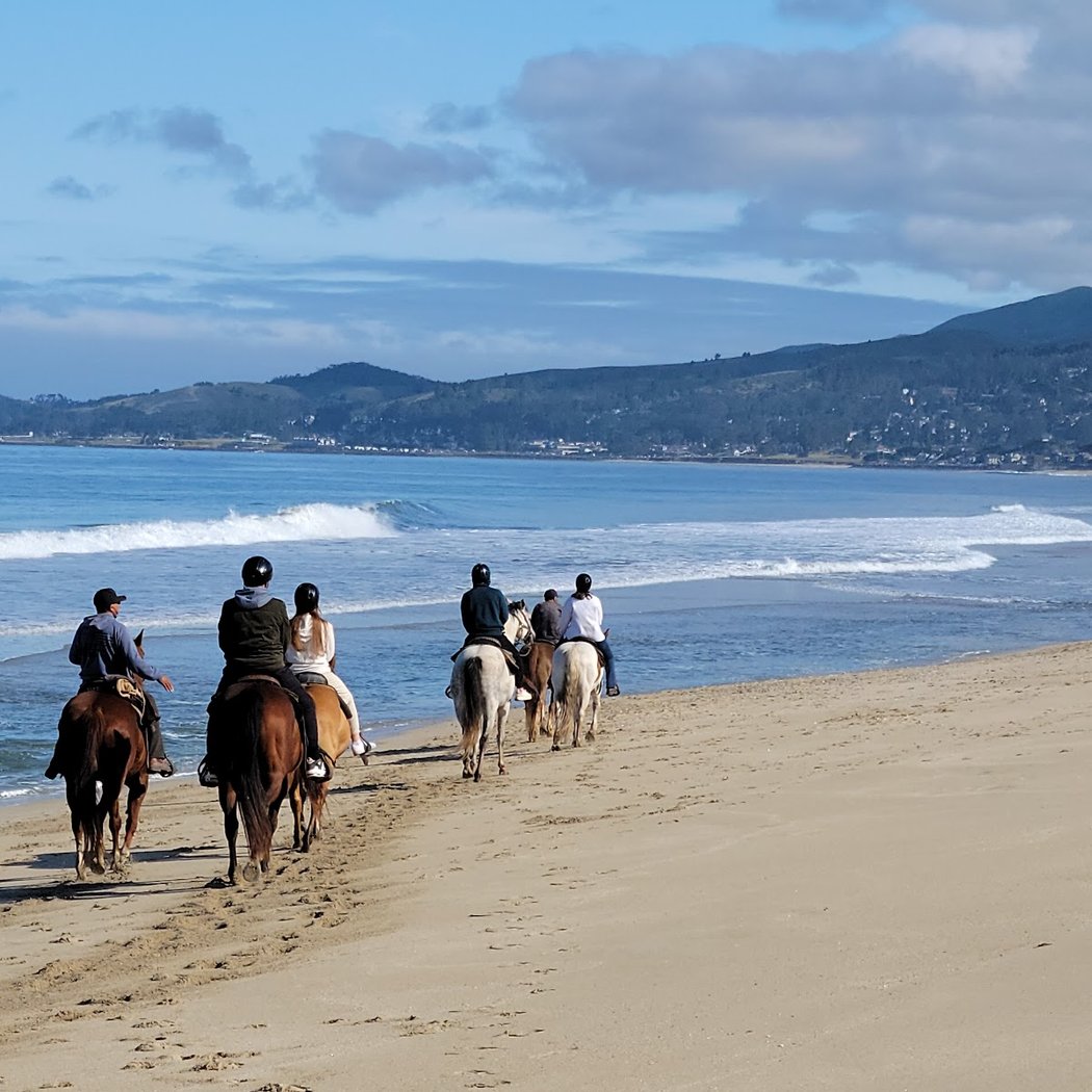 Sea Horse Ranch 1