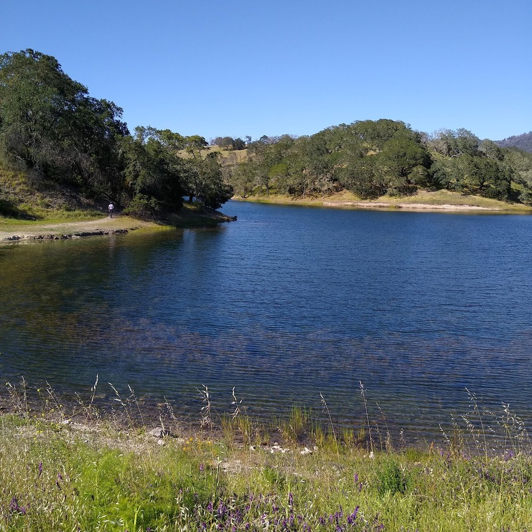 Glen Ellen 3