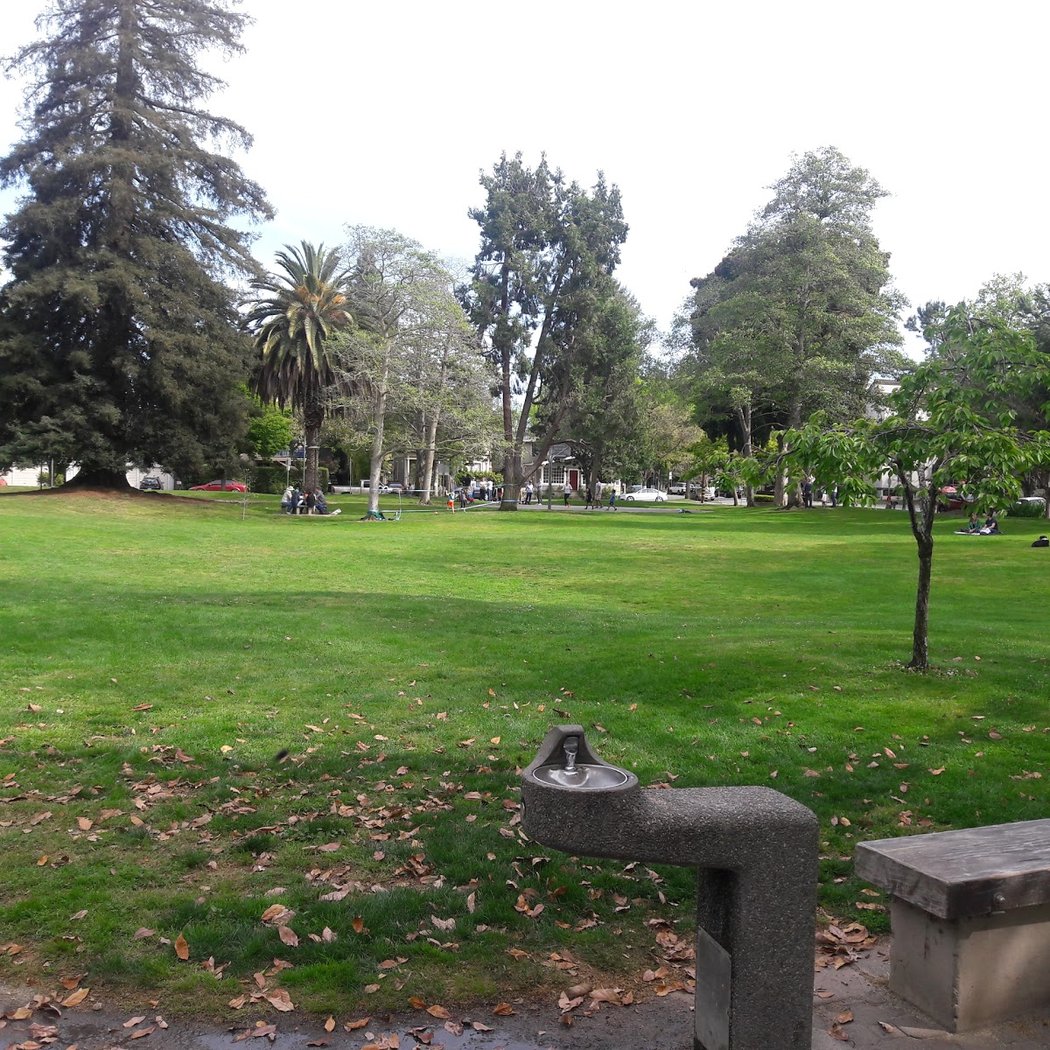 Johnson Park 2