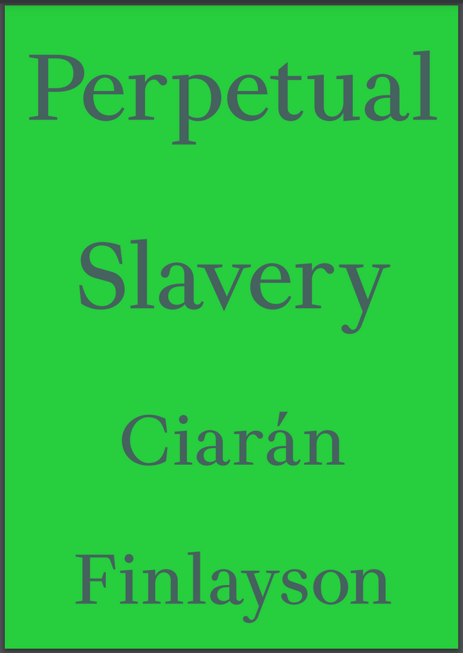 Perpetual Slavery by Ciarán Finlayson - Book Launch and Conversation 1